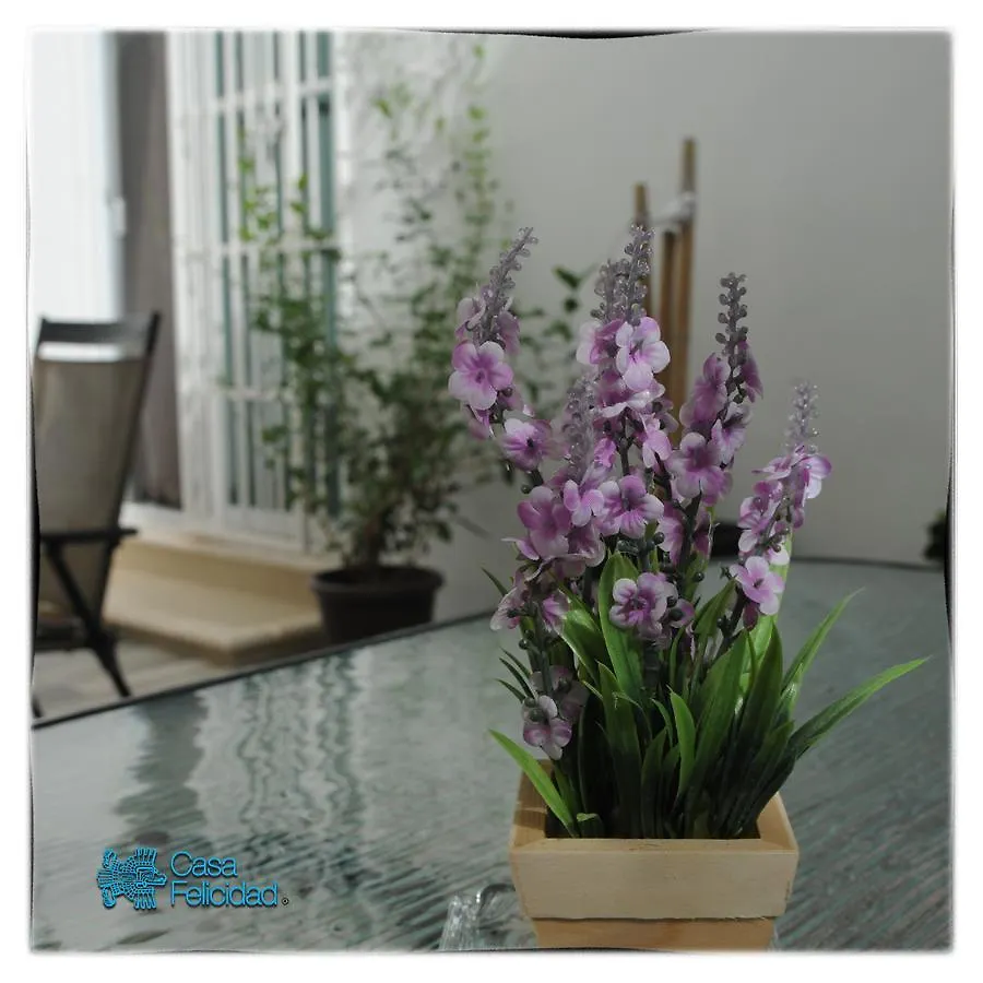 Casa Felicidad B&B Room & Kitchen Плая-дель-Кармен